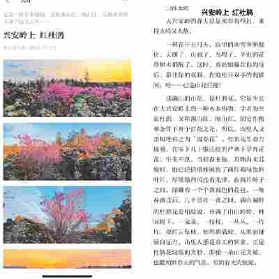 赵思奇