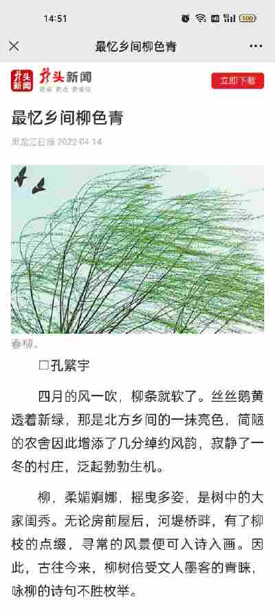王长旭