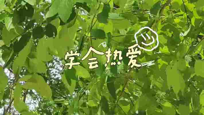 丛梓萱