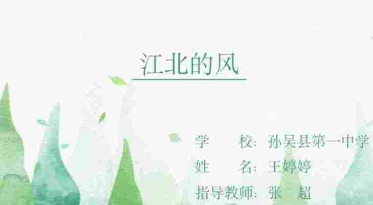 王婷婷