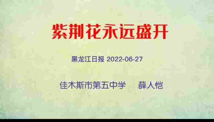 薛人恺