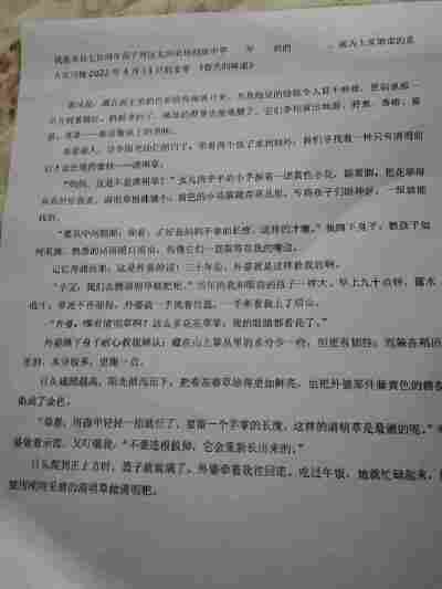 杨静怡