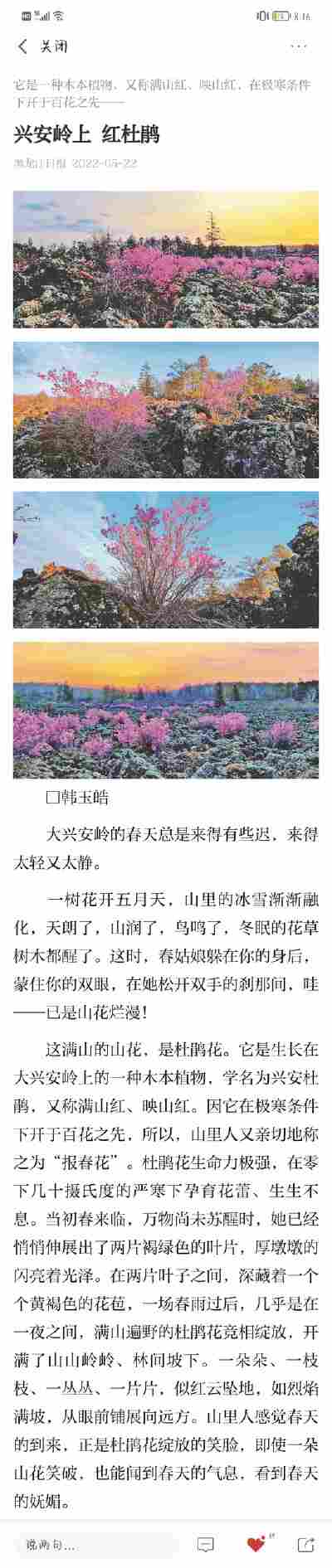 魏鑫楠