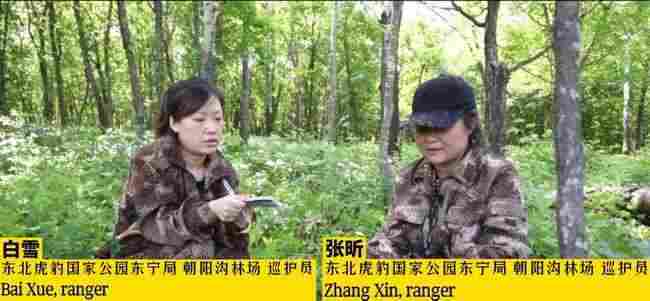王绎轩