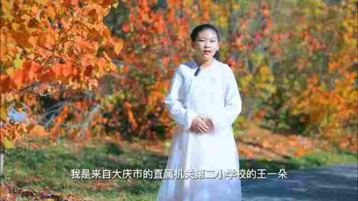 王一朵