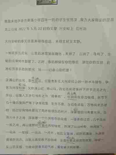 张朔溪