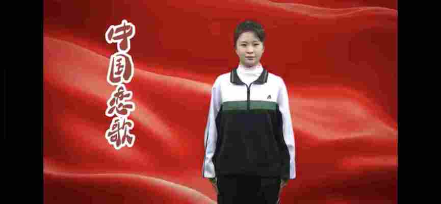 白羽菲