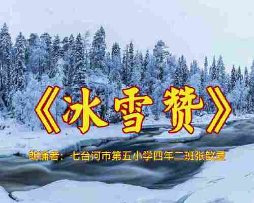 张歆爱