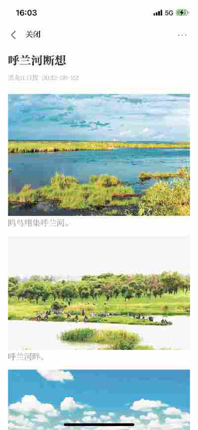 杨海东