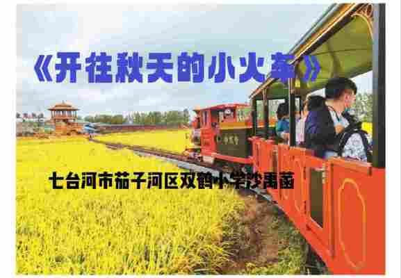 沙禹菡