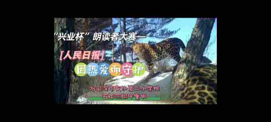 牛康圳