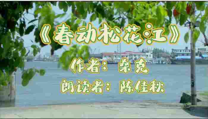 陈佳秋