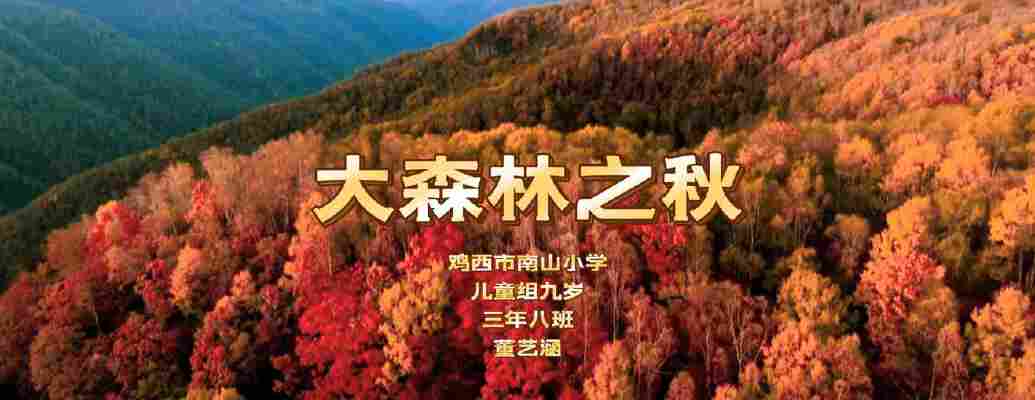 董艺涵