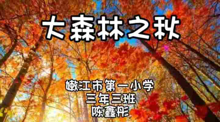 陈鑫彤