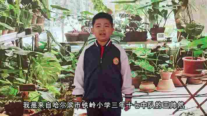 王帅然