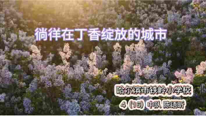 陈语昕