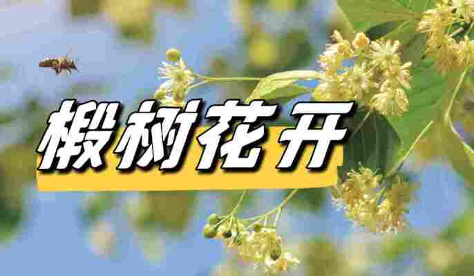荣梓涵