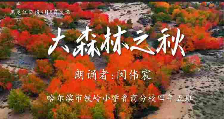 闵伟宸