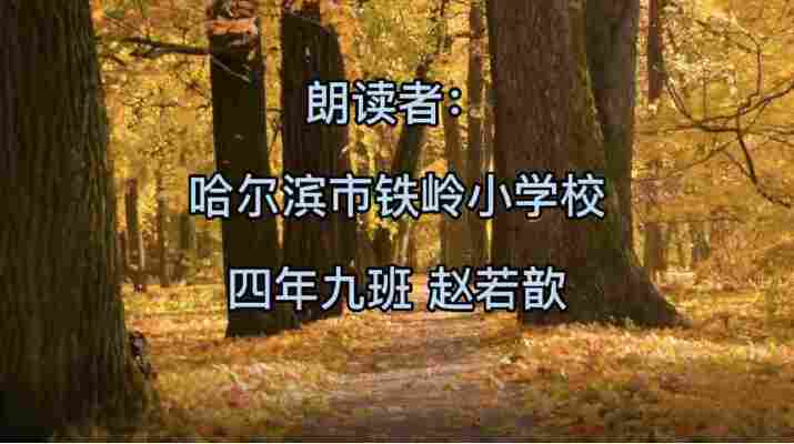 赵若歆