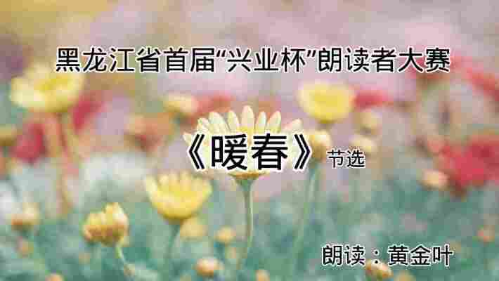 黄金叶