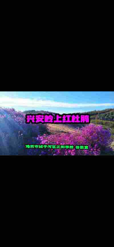 徐熙宸