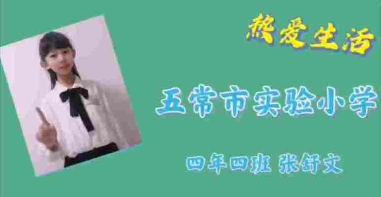 张舒文