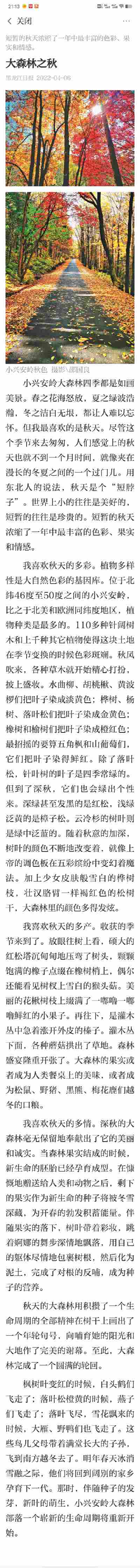 张歆怡