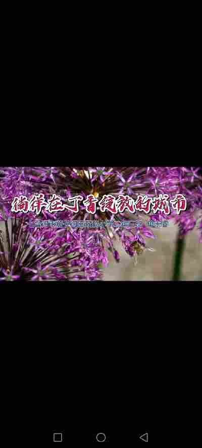 单崇睿