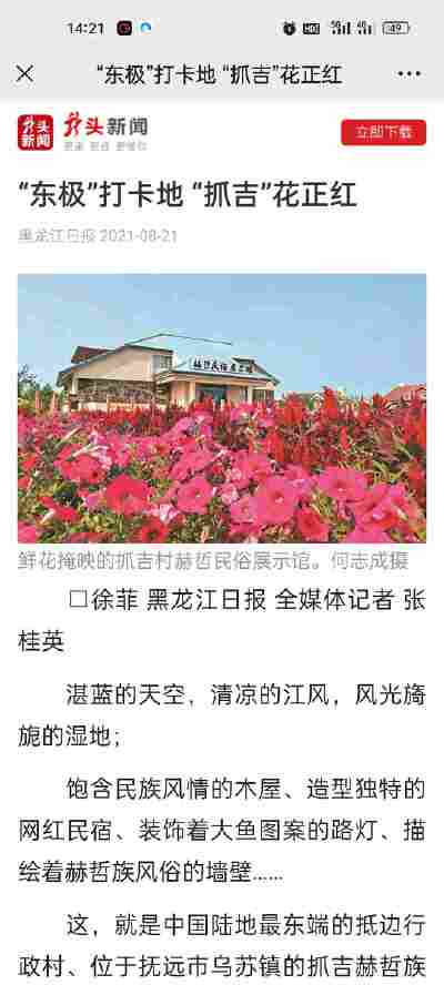 董林玉