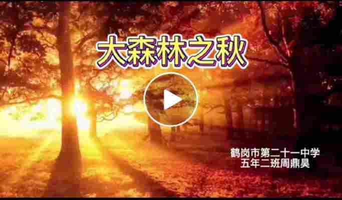 周鼎昊