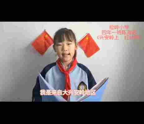 陈海芯