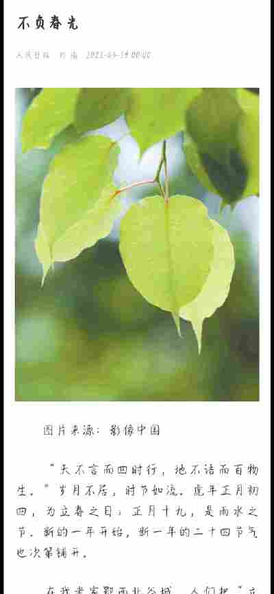李雨婷