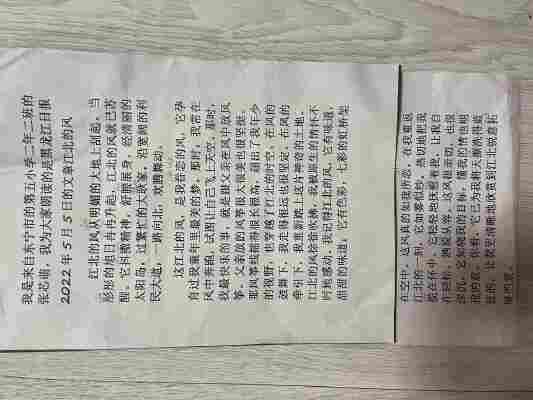 张芯萌