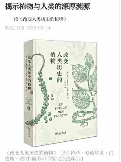 徐祎