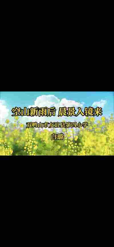 白璐