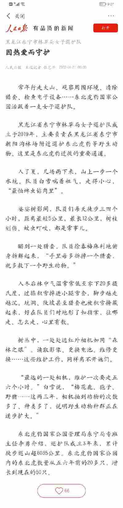 王安晴