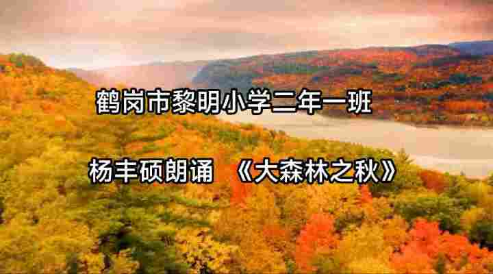 杨丰硕