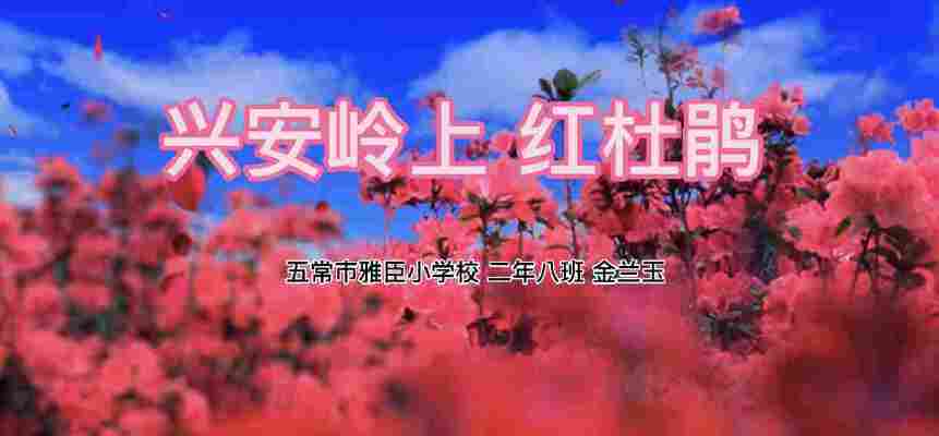 金兰玉