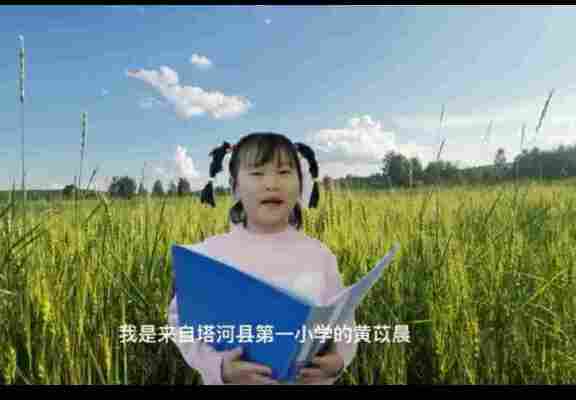 黄苡晨