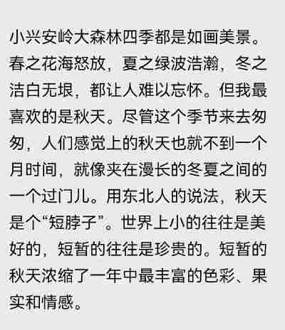马心蕊