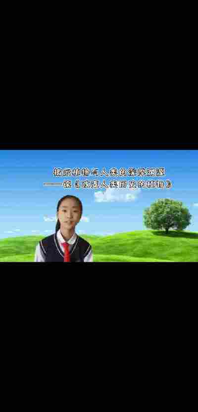 王依