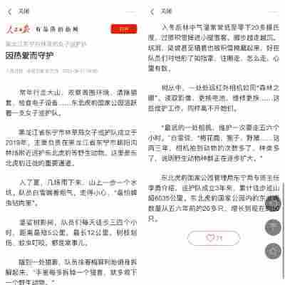 王诗颐