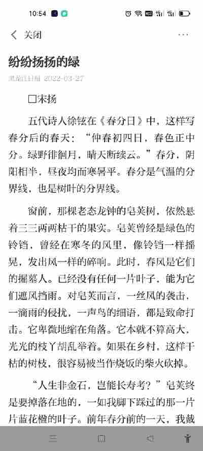 王一宸