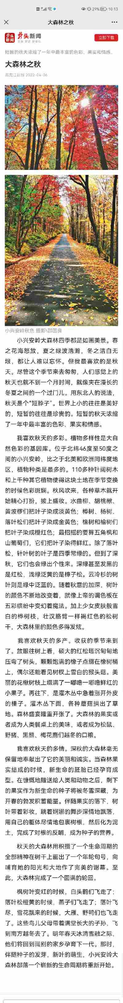 张桐瑄