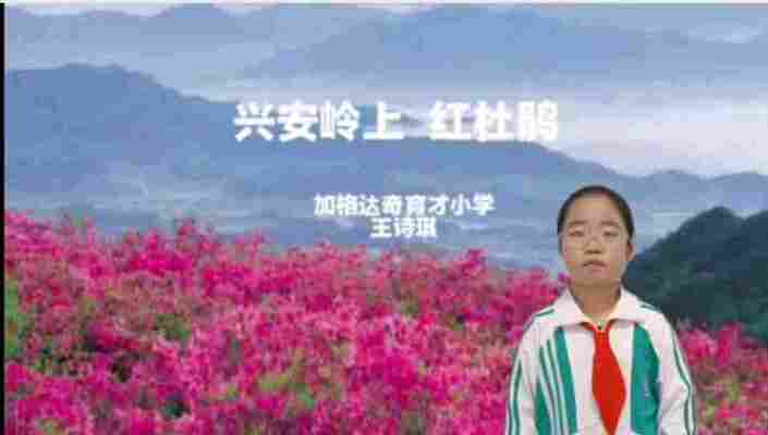 王诗琪