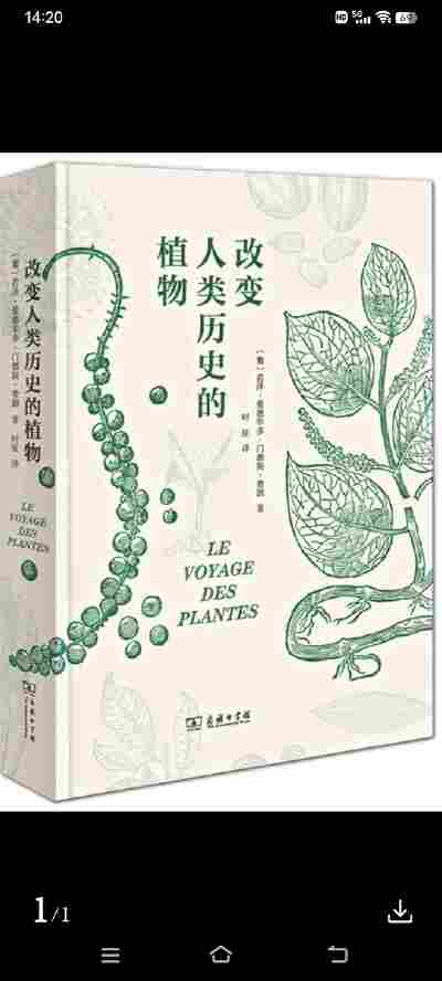 高东旭