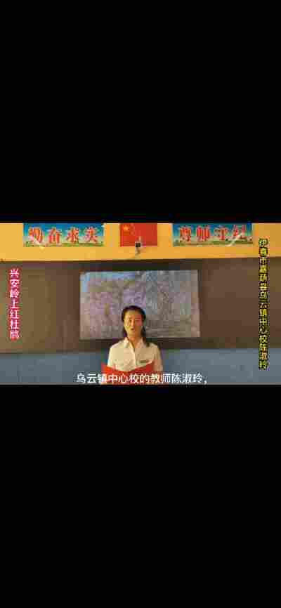 陈淑玲