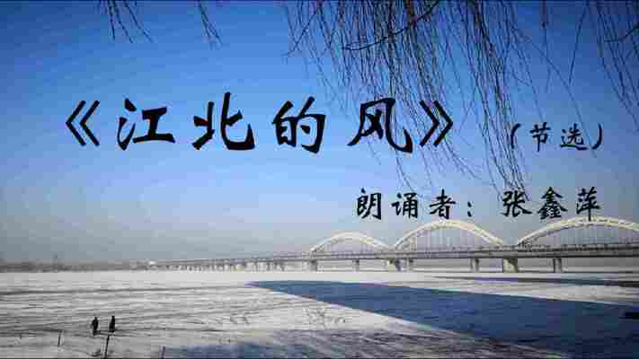 张鑫萍