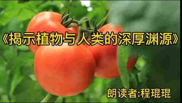 程琨琨