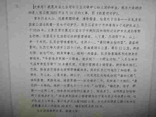 邓子辰